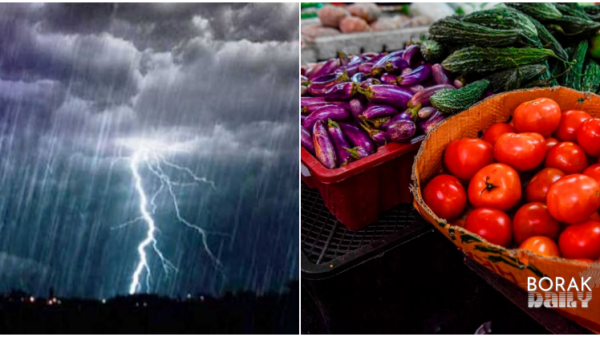 Harga Sayur Dijangka Naik