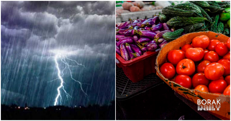 Harga Sayur Dijangka Naik