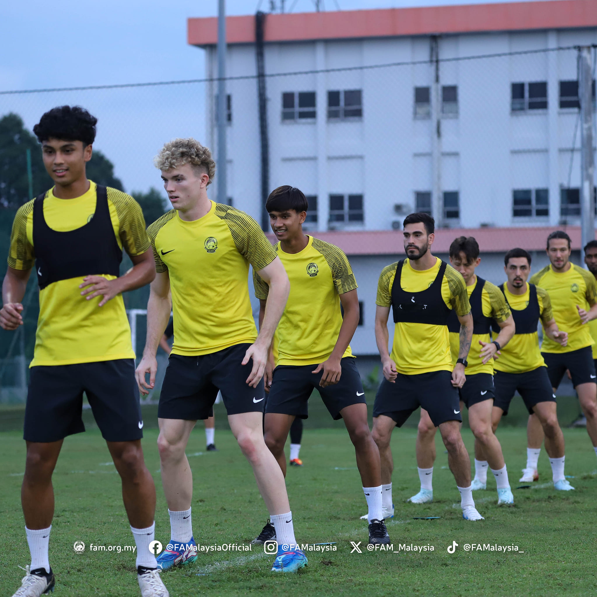 harimau malaya