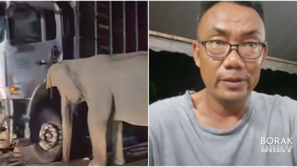 Dengar Ibu Gajah Nangis