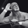 Hulk Hogan meninggal dunia