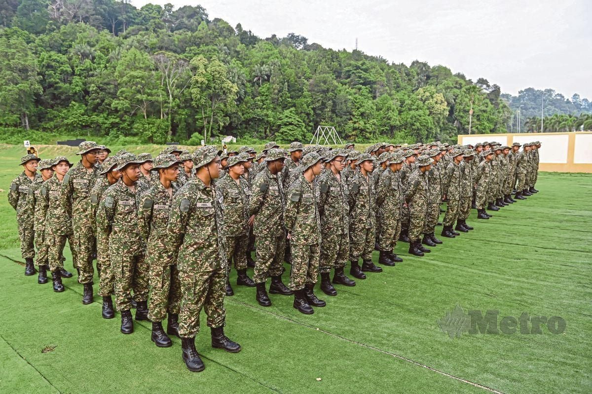 plkn 3.0