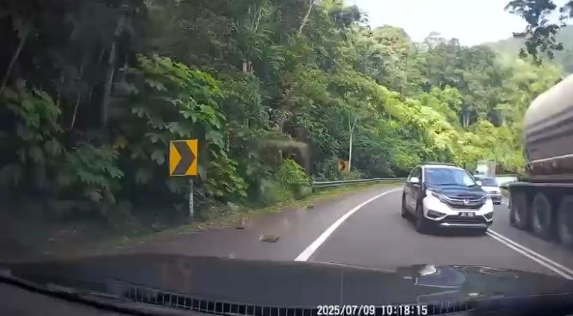 anggota jpj