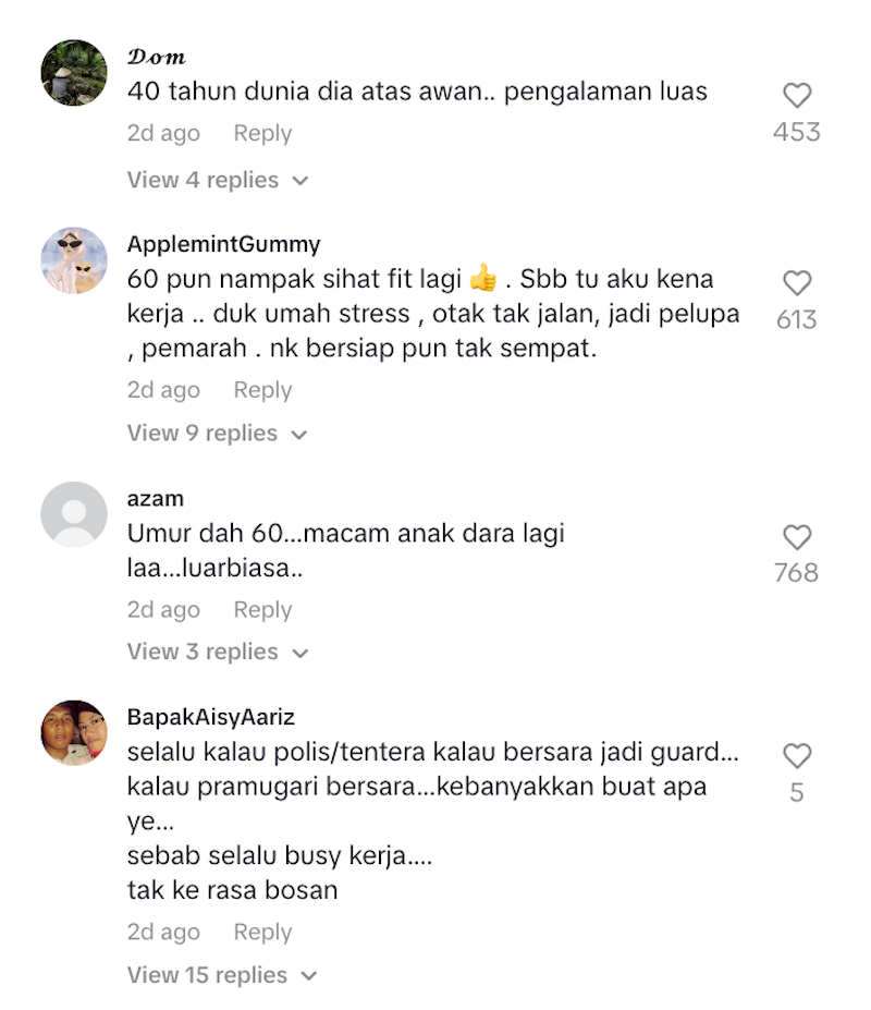 Pramugari MAS bersara