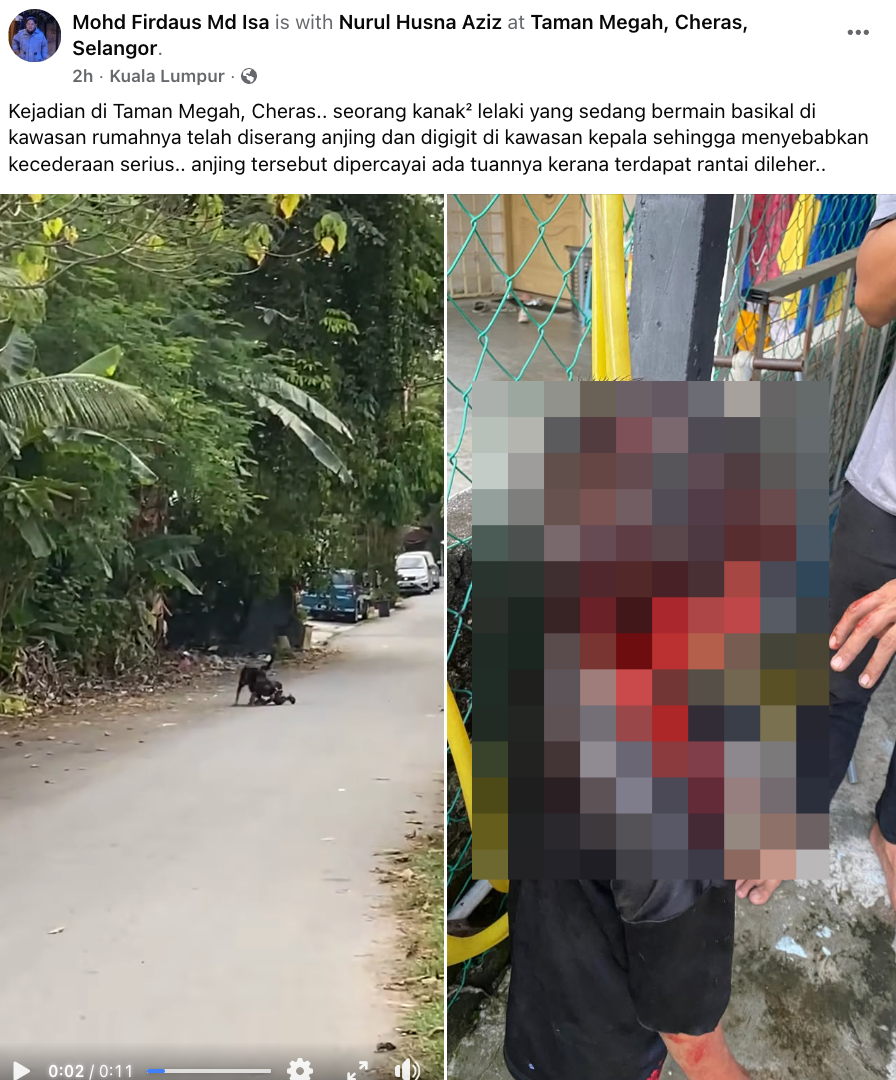 Diserang Anjing