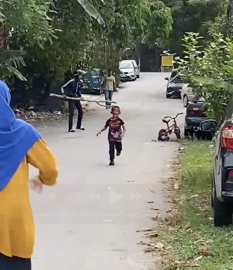 Anjing serang