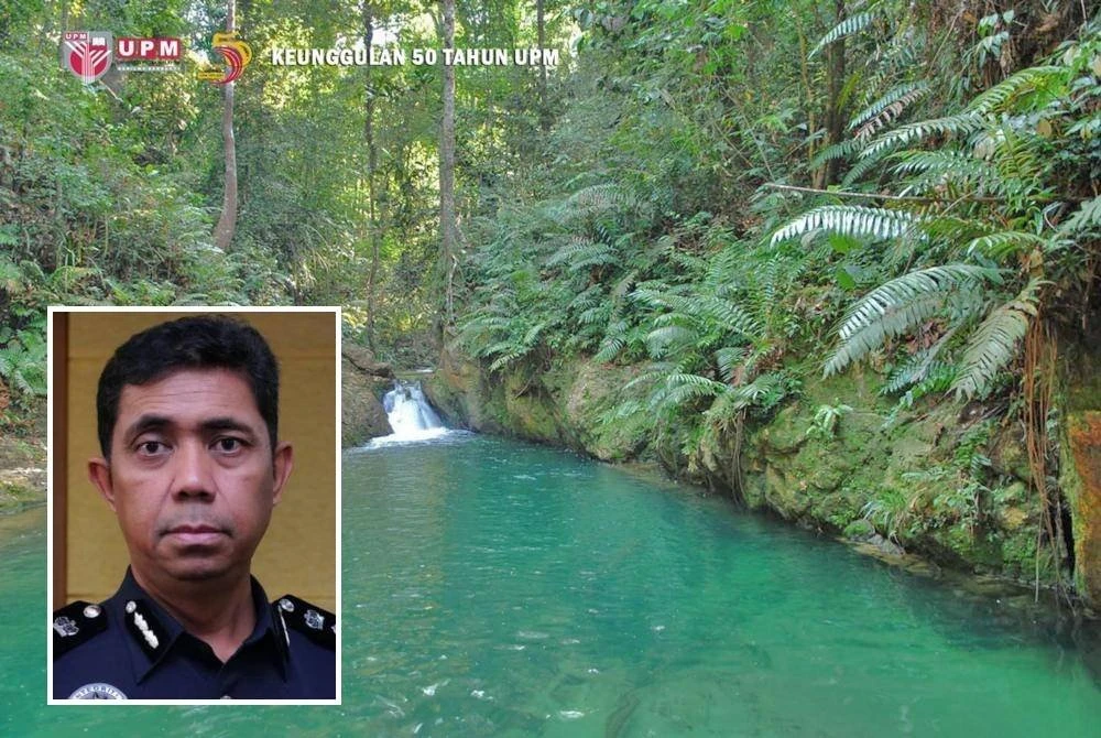 hutan simpan