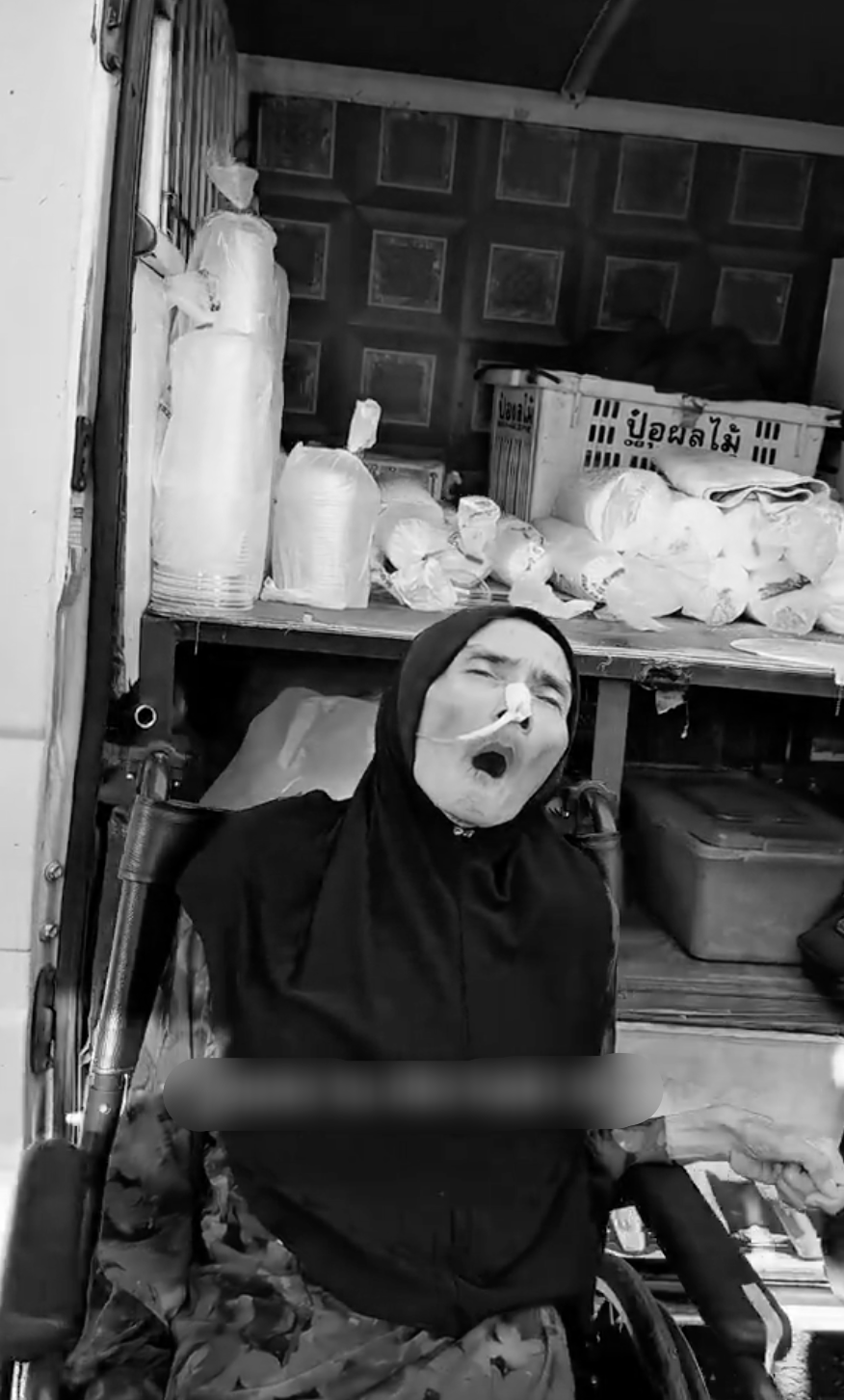 Puan Roslina 