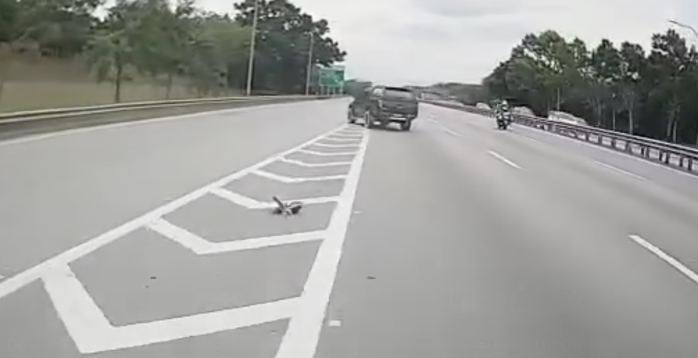 polis trafik