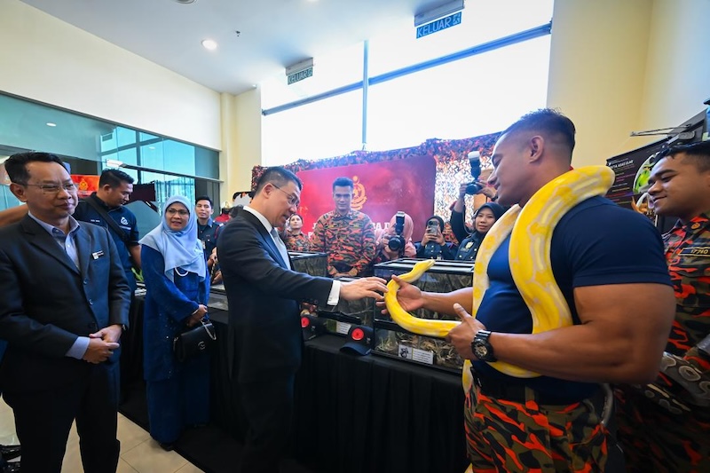 Hari Habitat Sedunia