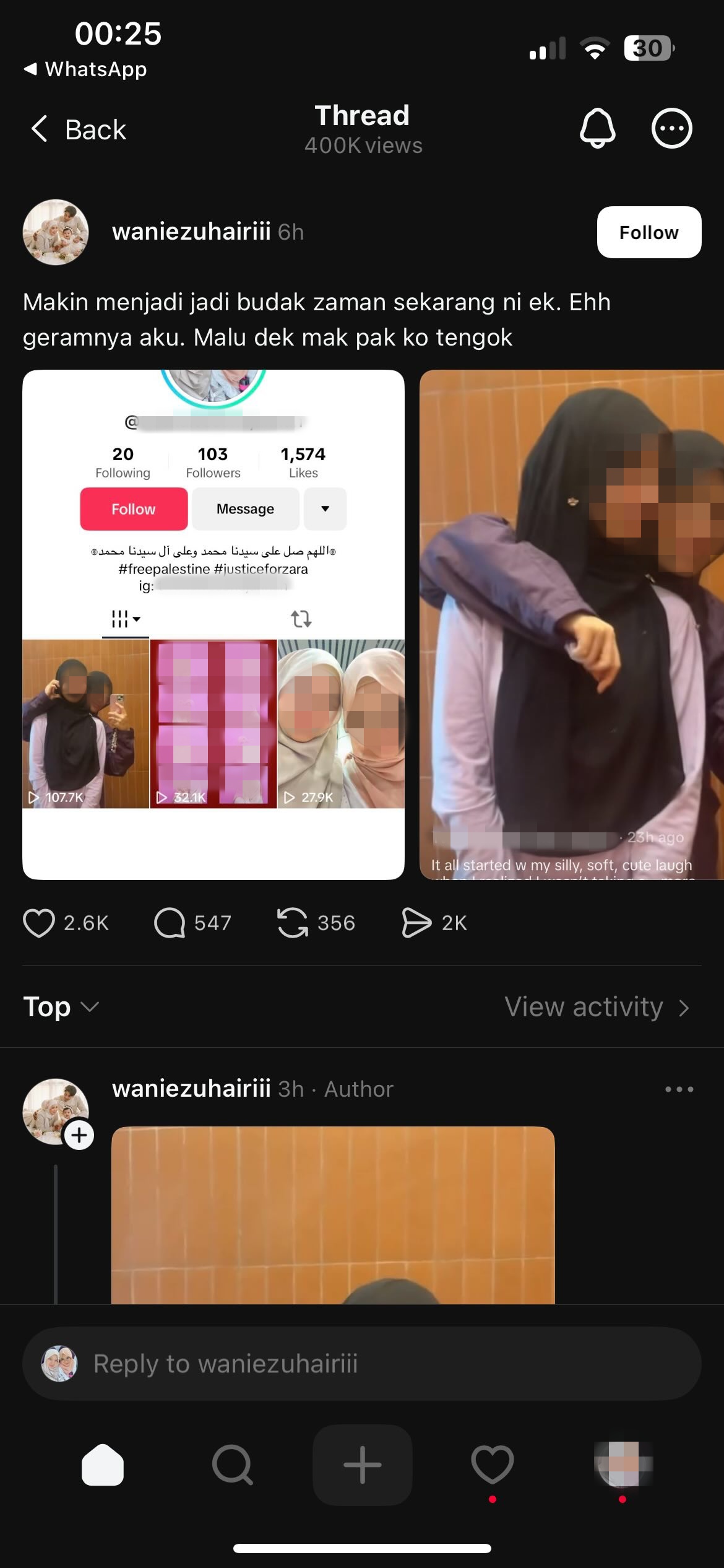 rakan sejenis