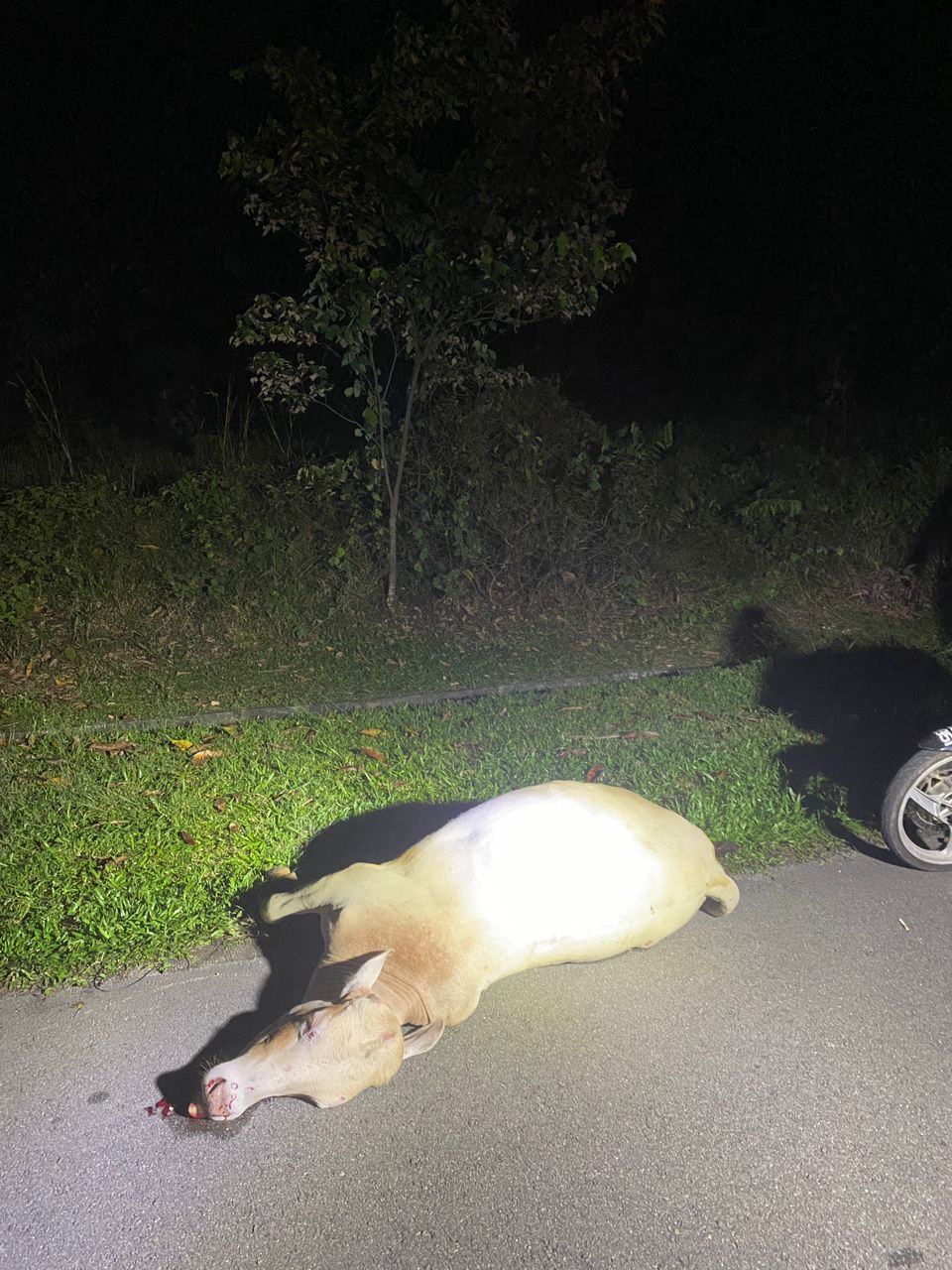 penunggang motosikal