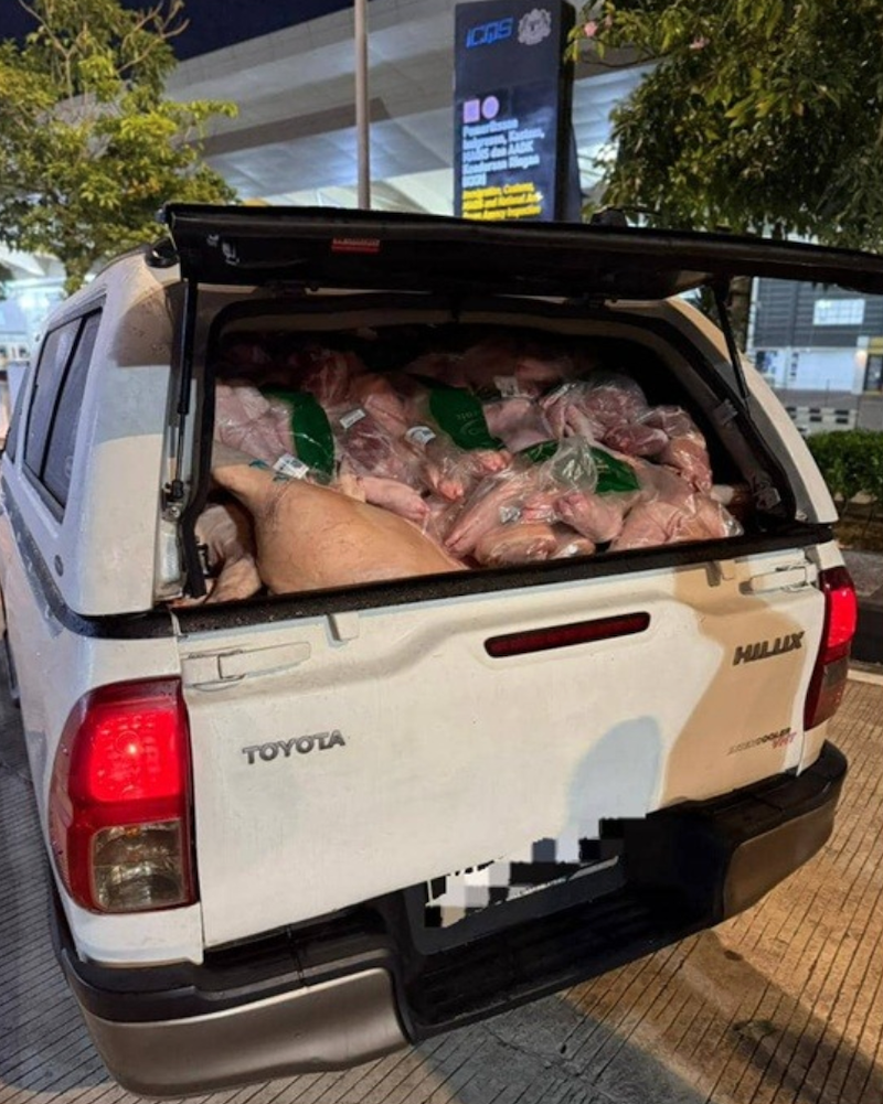 Cubaan seludup daging khinzir