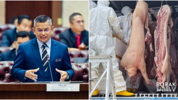 Tiada Satu Pun Ladang Ternakan Khinzir