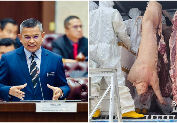 Tiada Satu Pun Ladang Ternakan Khinzir