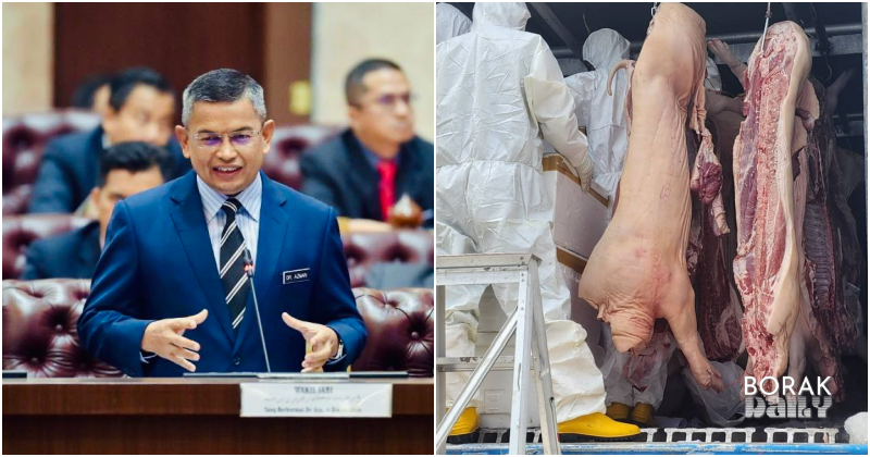 Tiada Satu Pun Ladang Ternakan Khinzir