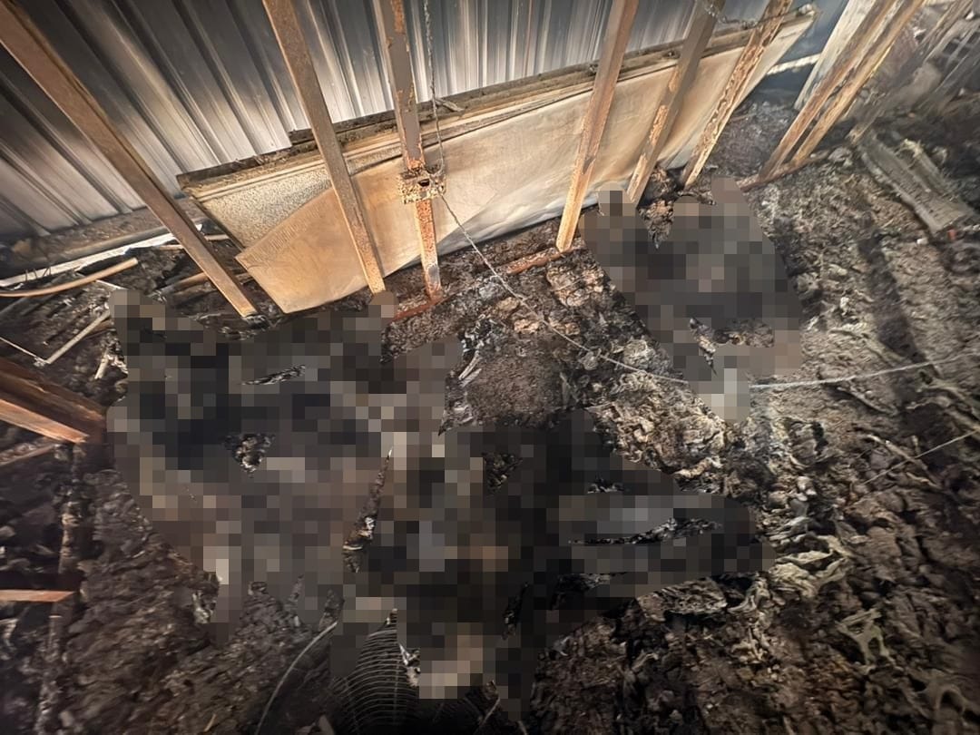 Identiti tiga mangsa rentung