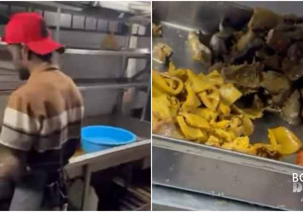 Lebihan Makanan Dibasuh Untuk Haiwan